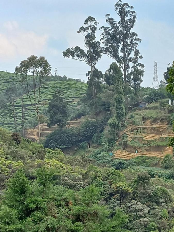 Lake Breeze Nuwara Eliya Eksteriør bilde