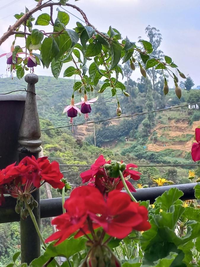 Lake Breeze Nuwara Eliya Eksteriør bilde